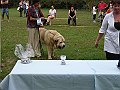 img 039